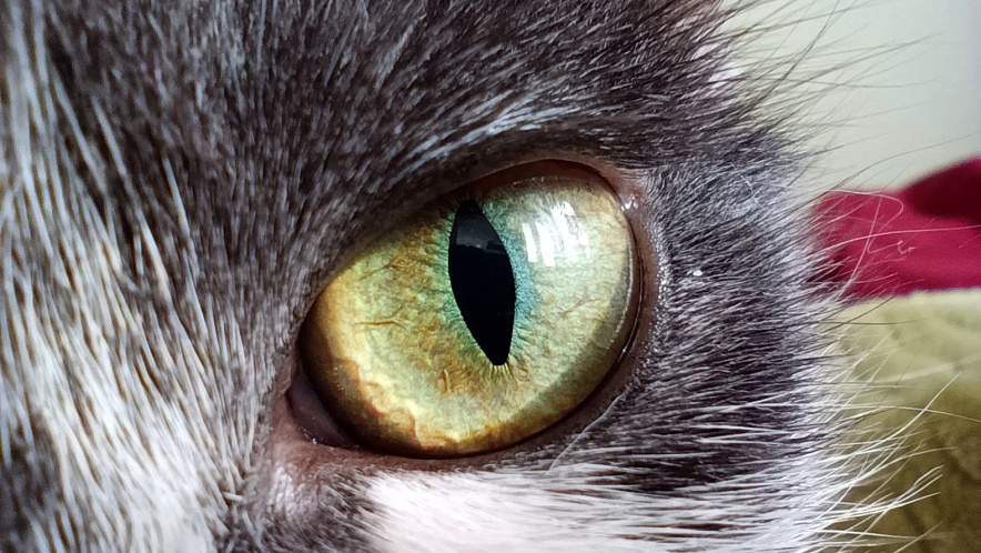 Фото: Дарья Егорова