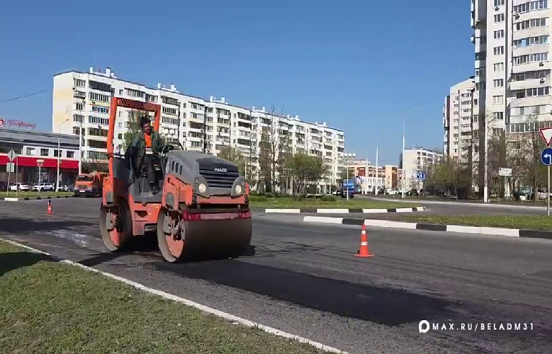 Фото: пресс-служба администрации Белгорода