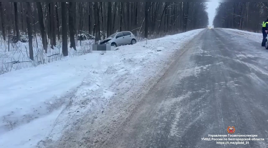 Фото: пресс-служба Госавтоинспекции Белгородской области