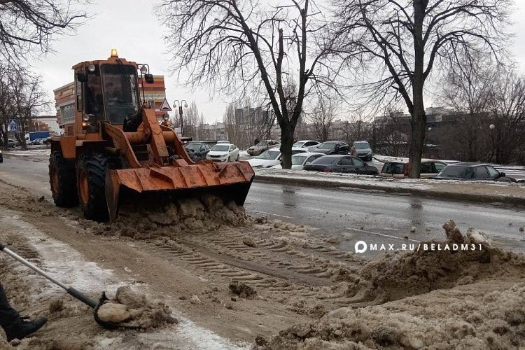 Фото: пресс-служба администрации Белгорода