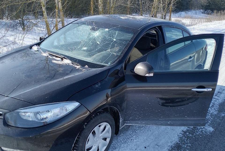 Фото: соцсети Вячеслава Гладкова