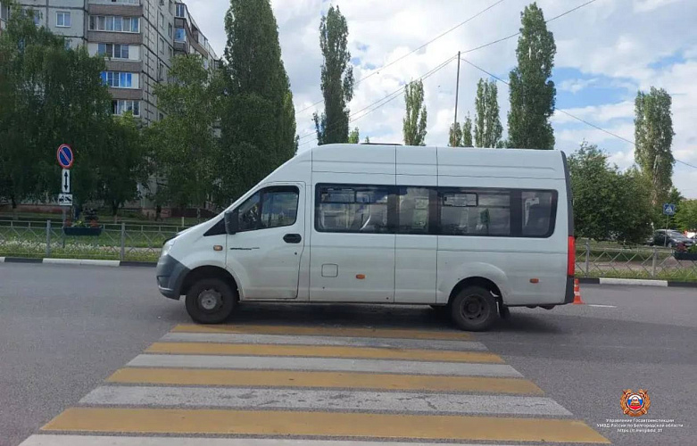 Фото: пресс-служба Госавтоинспекции Белгородской области