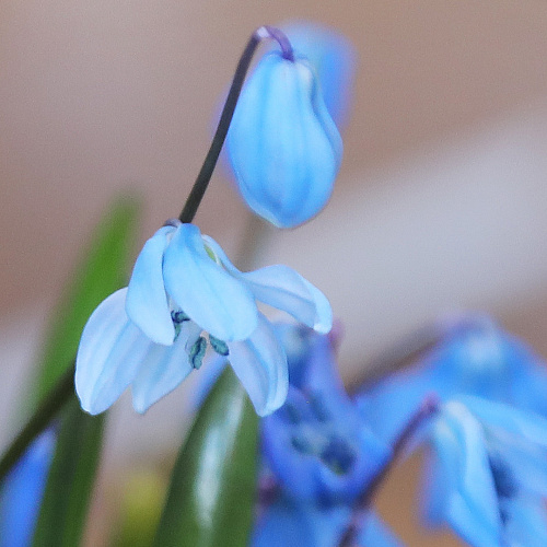 Фото: пресс-служба БелГУ