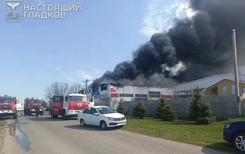 Фото: пресс-служба правительства Белгородской области