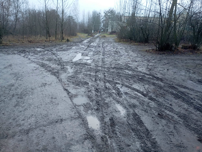 Фото: Эльвира Боровская