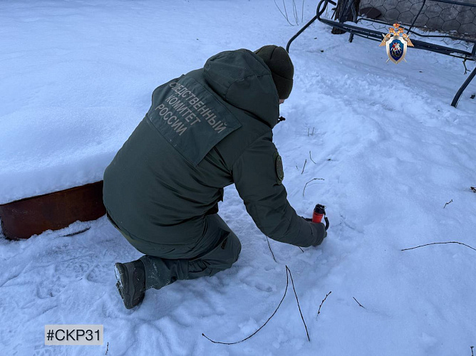 Фото: пресс-служба следственного управления СК России по Белгородской области