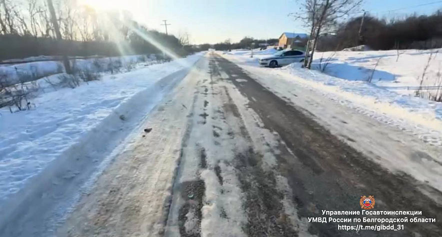 Фото: пресс-служба Госавтоинспекции Белгородской области