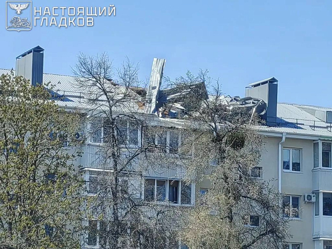 Фото: пресс-служба правительства Белгородской области
