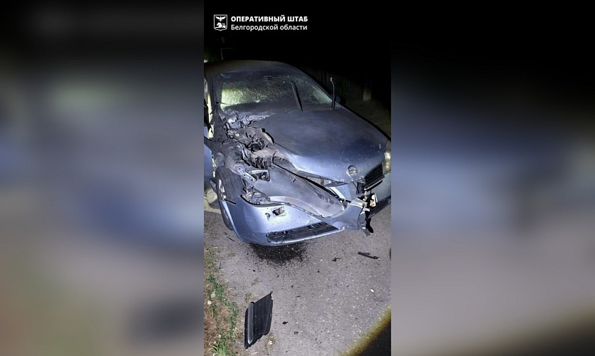 Фото: пресс-служба правительства Белгородской области