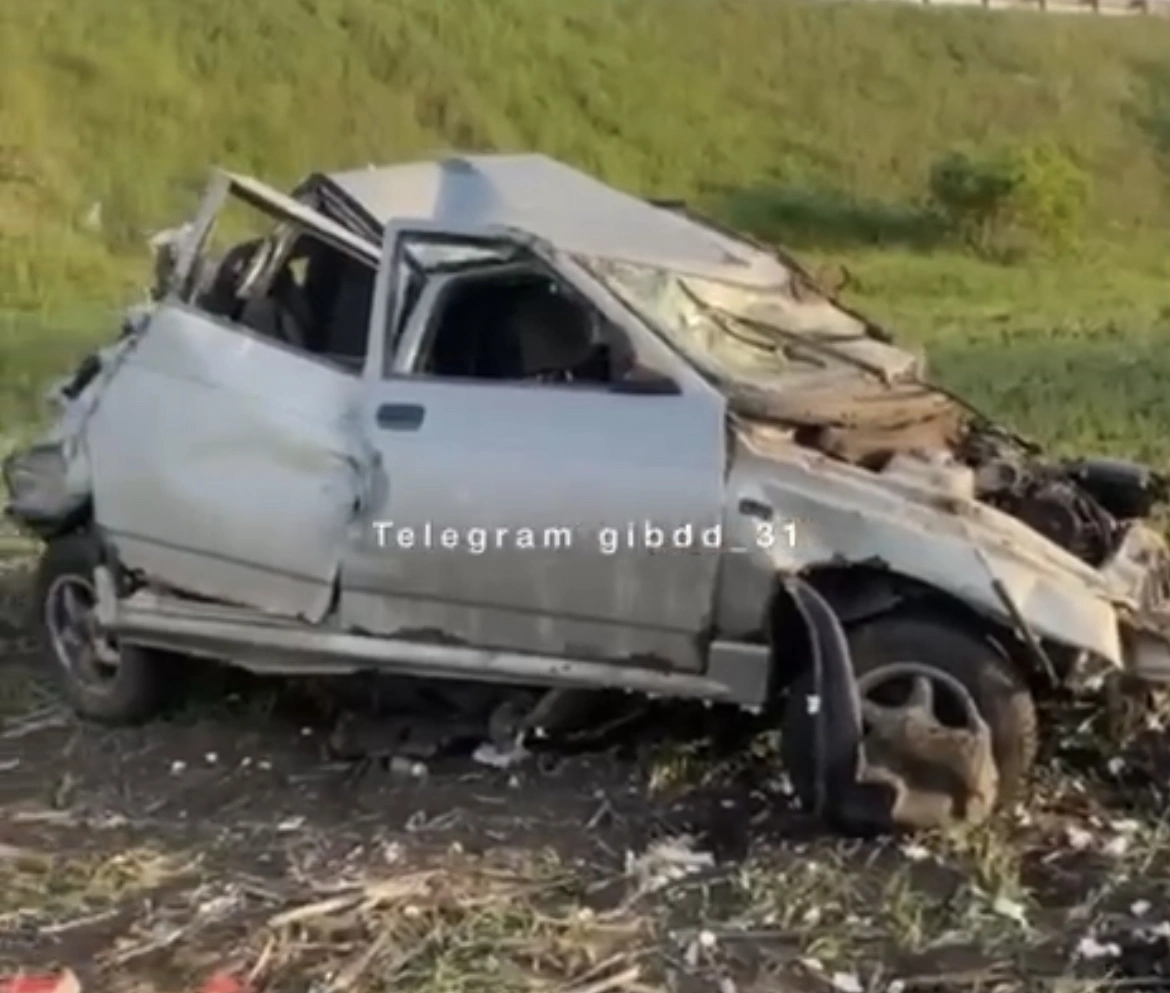 2B626317-79B8-495B-BE28-A47AC6D3D1F3.jpeg 2B626317-79B8-495B-BE28-A47AC6D3D1F3.jpeg