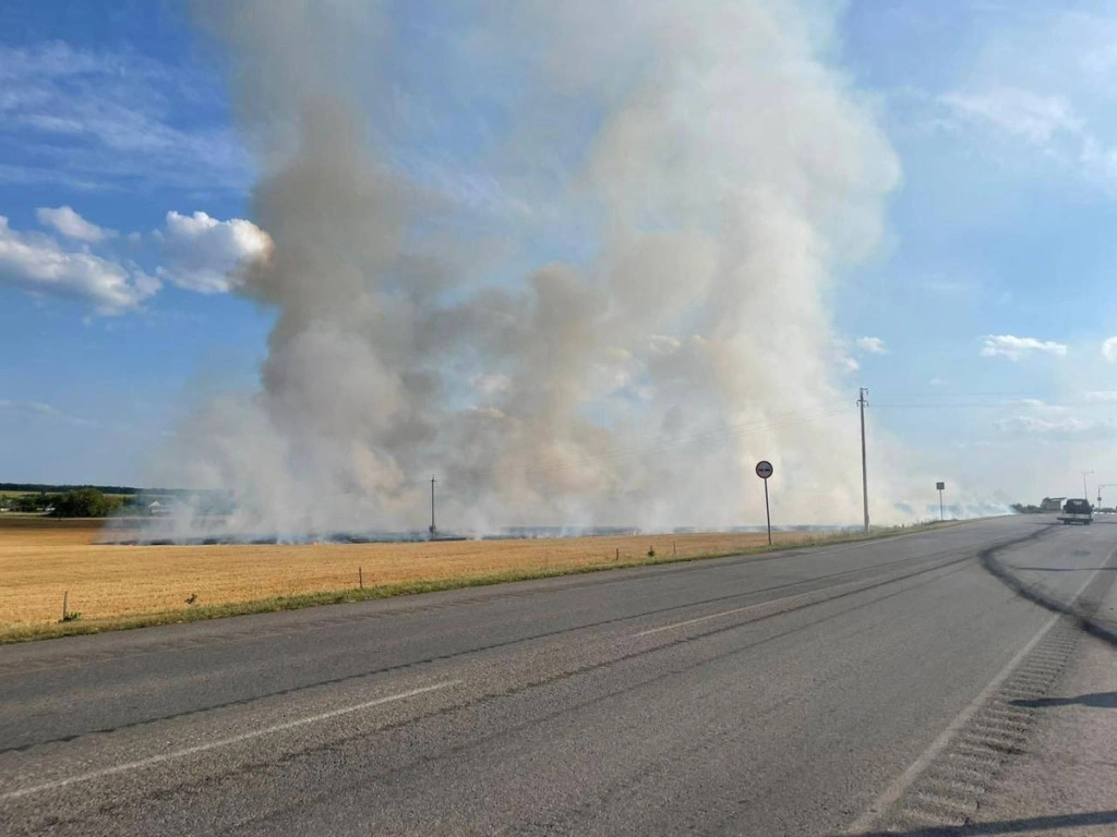 WNlWsPQ8n8U.jpg WNlWsPQ8n8U.jpg