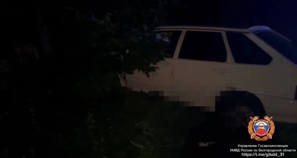 IMG_4830.jpeg IMG_4830.jpeg