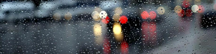 Фото: Сергей Егоров