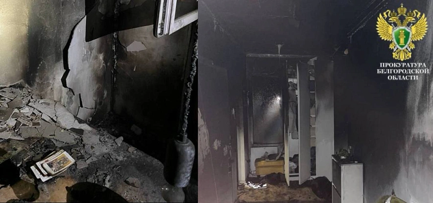 Фото: пресс-служба прокуратуры Белгородской области