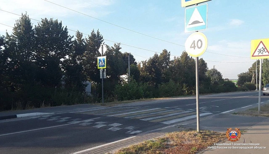 Фото: пресс-служба Госавтоинспекции Белгородской области