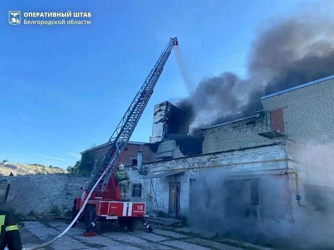 Фото: пресс-служба правительства Белгородской области