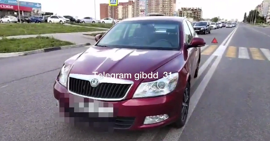 Фото: ГИБДД региона