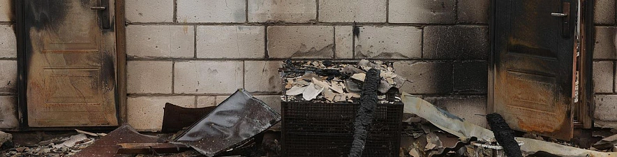 Фото: Антон Вергун