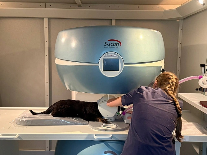 Фото:  Управление ветеринарии Белгородской области