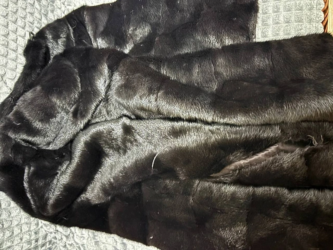 Фото: пресс-служба УМВД по Белгородской области