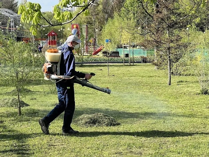 Фото: пресс-служба мэрии Белгорода