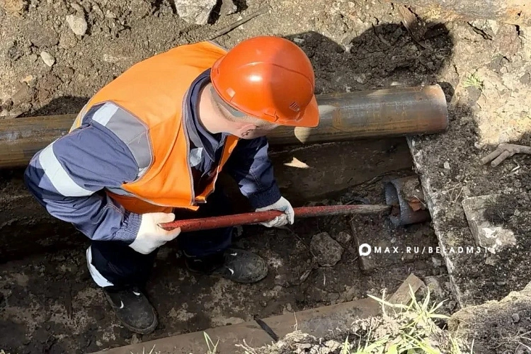 Фото: пресс-служба мэрии Белгорода