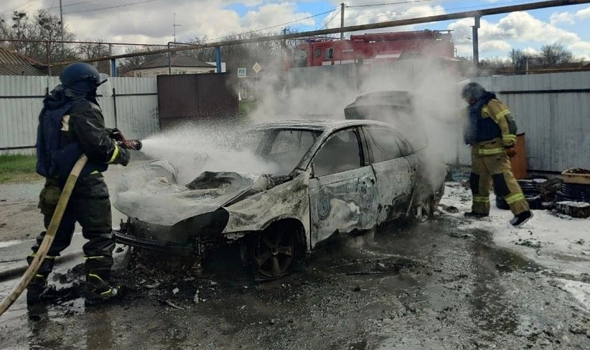 Фото: пресс-служба правительства Белгородской области