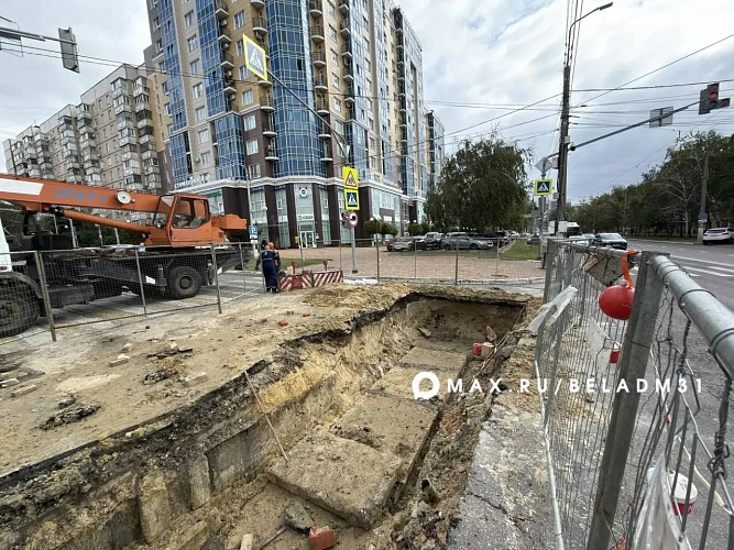 Фото: пресс-служба администрации Белгорода