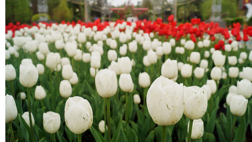 Фото: Дарья Егорова