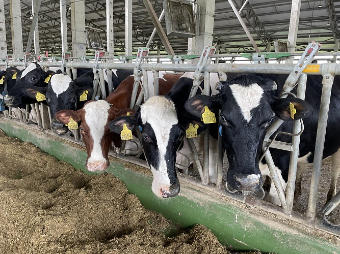 Фото: Максим Алтухов