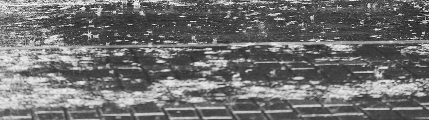 Фото: Сергей Егоров