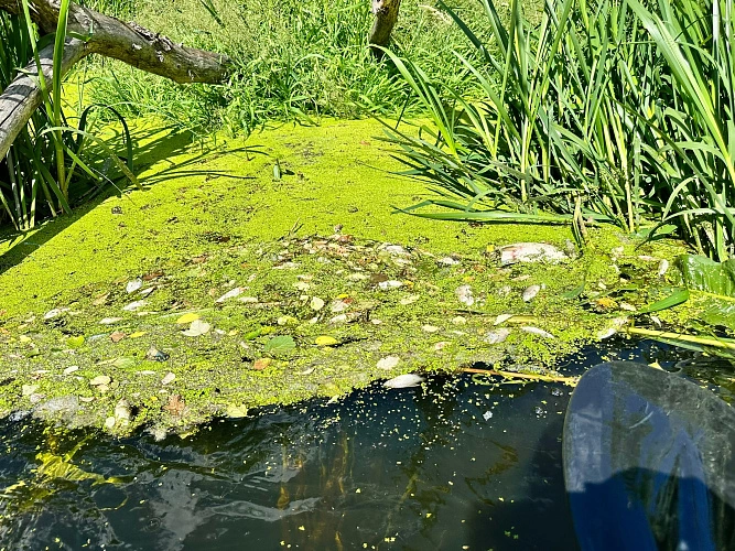 Фото: САП и байдарки Белгород | сплавы ПО ВОДЕ/ВКонтакте