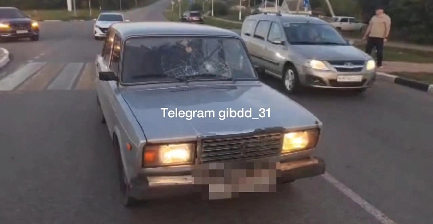 Фото: ГИБДД