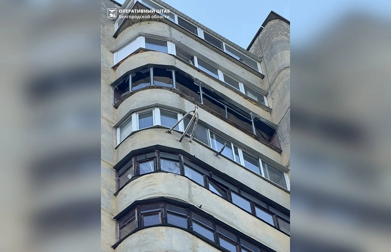 Фото: пресс-служба правительства Белгородской области