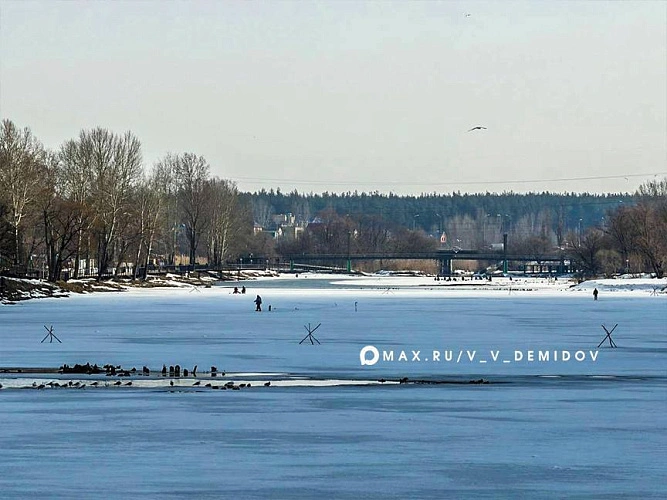 Фото: пресс-служба администрации Белгорода