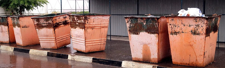 Фото: Сергей Егоров