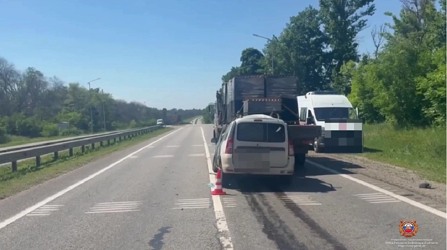 Фото: пресс-служба Госавтоинспекции Белгородской области