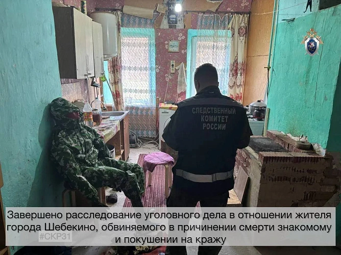 Фото: пресс-служба СУ СКР по белгородской области