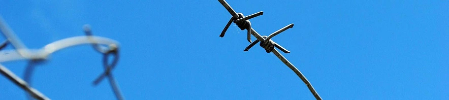 Фото: Оксана Булгакова