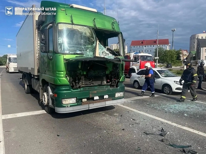 Фото: пресс-служба правительства Белгородской области