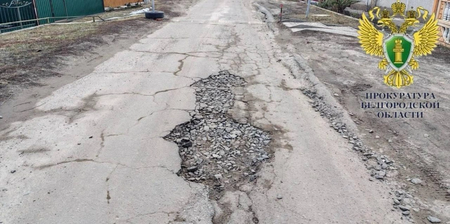 Фото: пресс-служба прокуратуры Белгородской области