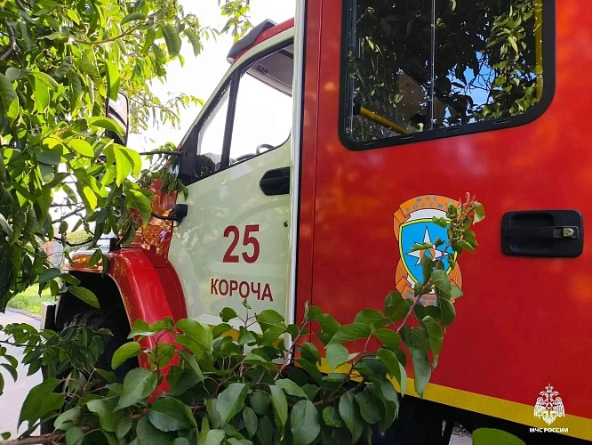 Фото: пресс-служба ГУ МЧС по Белгородской области