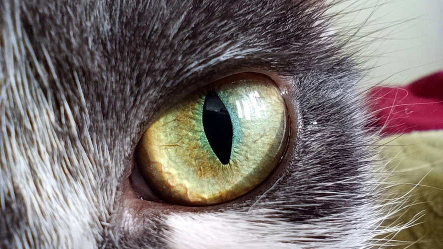 Фото: Дарья Егорова