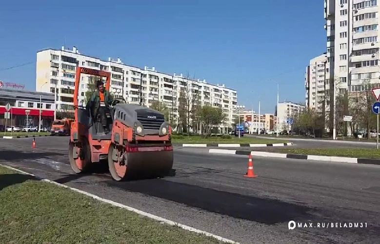 Фото: пресс-служба администрации Белгорода