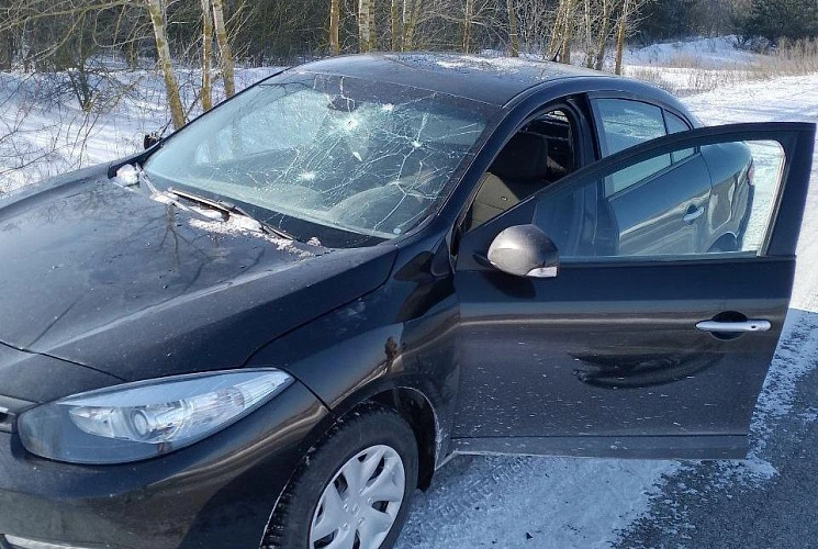 Фото: соцсети Вячеслава Гладкова