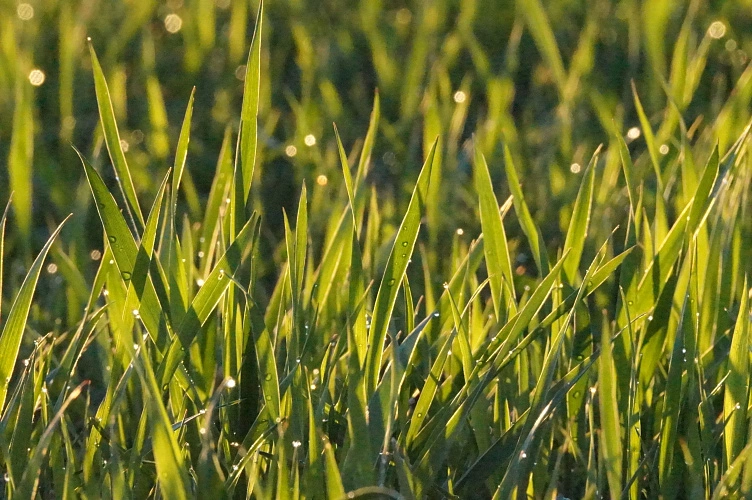 Фото: Сергей Егоров