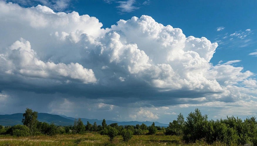 Фото: Шедеврум