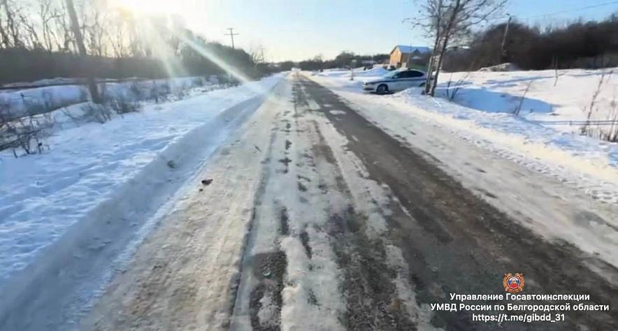 Фото: пресс-служба Госавтоинспекции Белгородской области