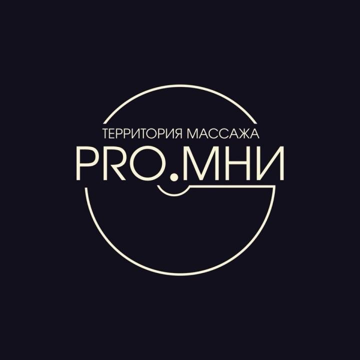 PRO.МНИ - территория массажа Белгород