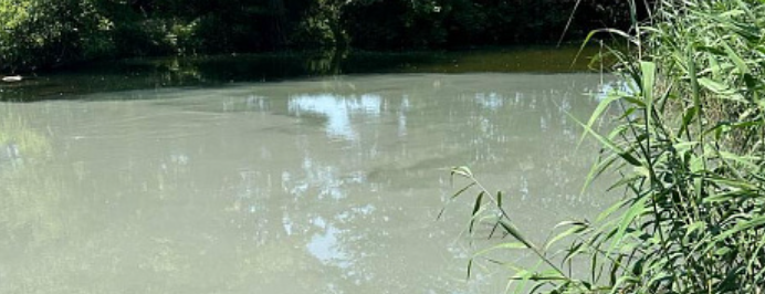 Оскол без воды. Река Оскол. Лов на речке в Белгородской области. Рыбы в Белгороде в реке Вязелка. Рыбы в Ува речке фото.